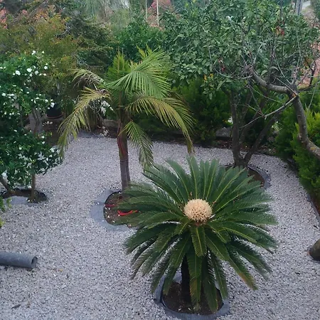 Peragi - Triple With Balcony