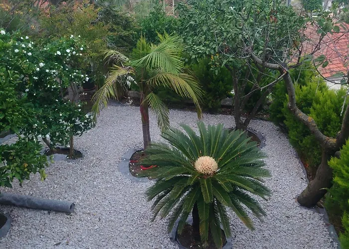 Peragi - Triple With Balcony